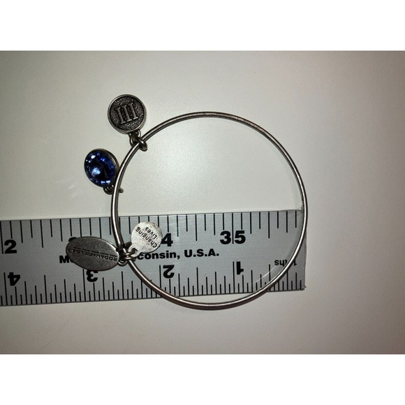 Rodan + Fields Charm Silver-Tone Bangle Bracelet! - Picture 13 of 15